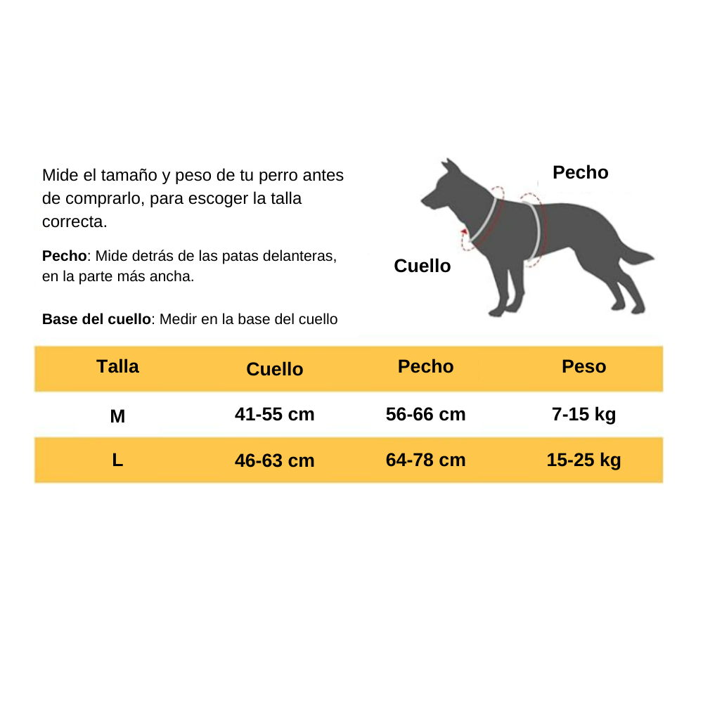 Arnés Con Correa Retráctil DogWalk